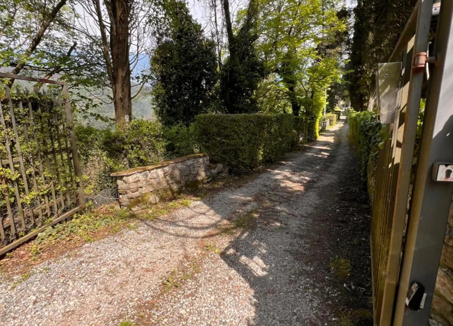 Mimosa E Limoni - Case Vacanze San Martino in Freddana Italien
