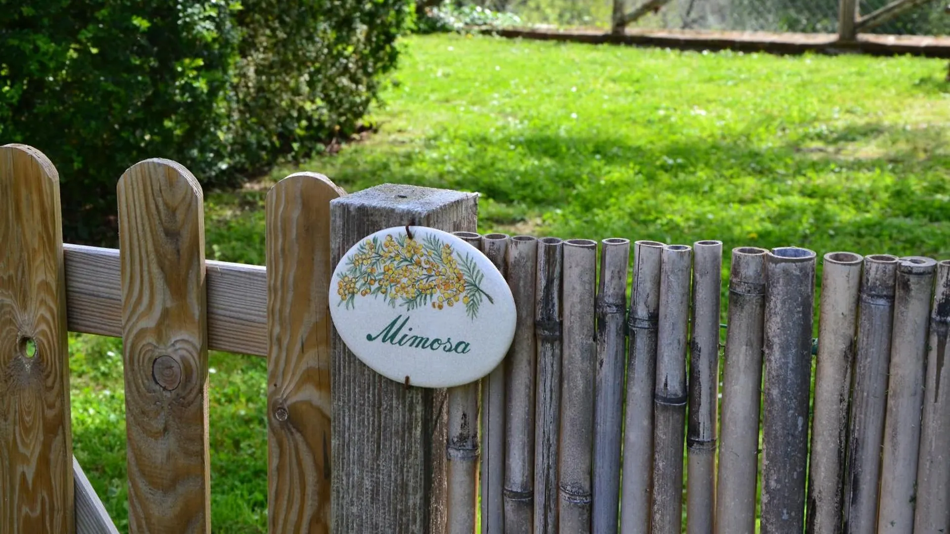 Mimosa E Limoni - Case Vacanze San Martino in Freddana