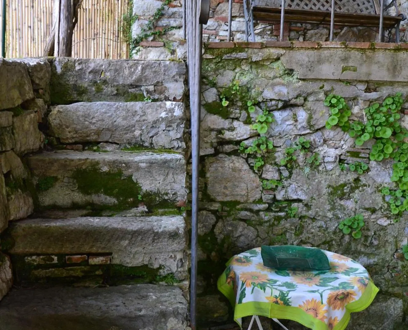 Holiday home Mimosa E Limoni - Case Vacanze San Martino in Freddana