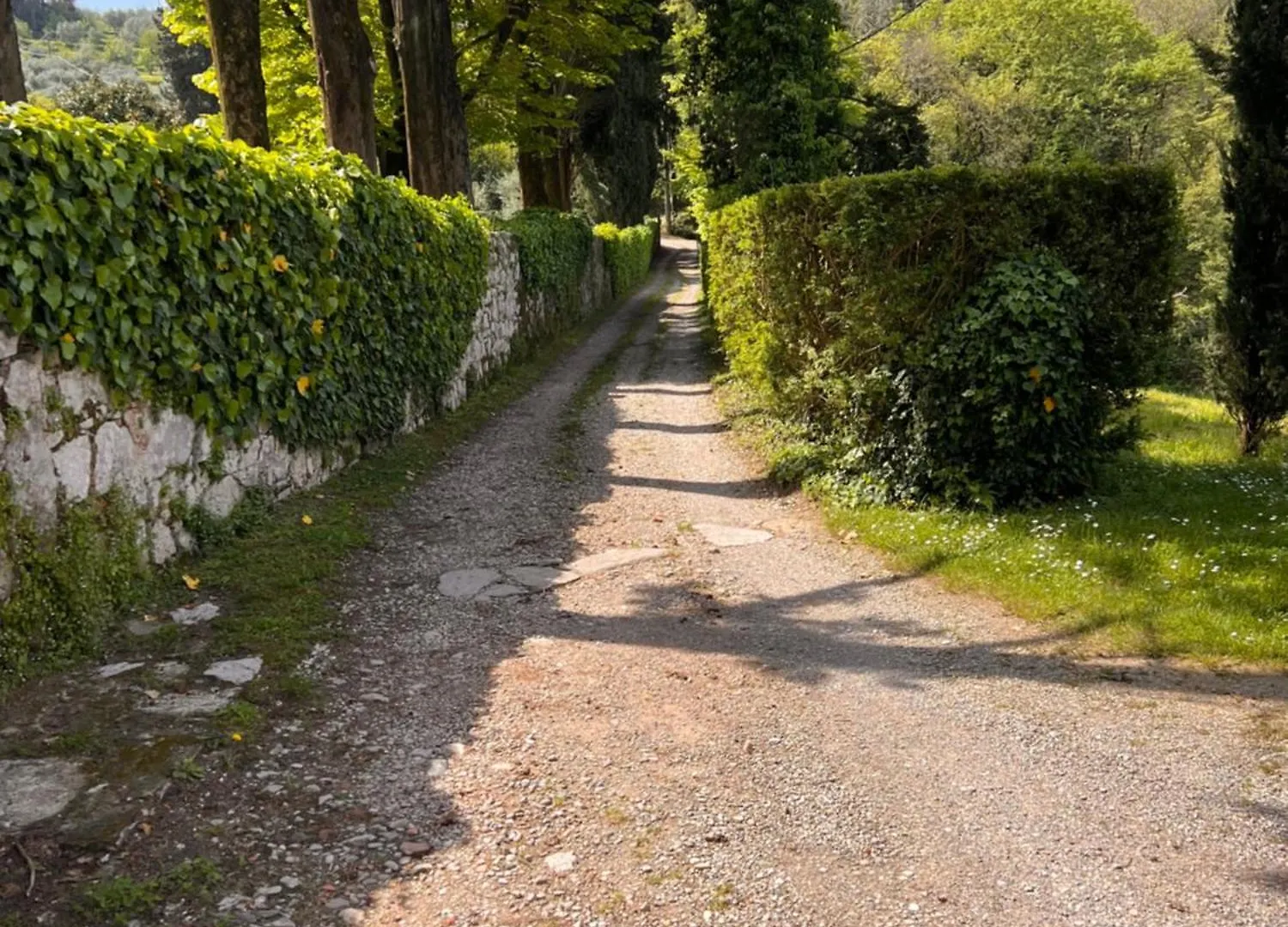 Mimosa E Limoni - Case Vacanze San Martino in Freddana