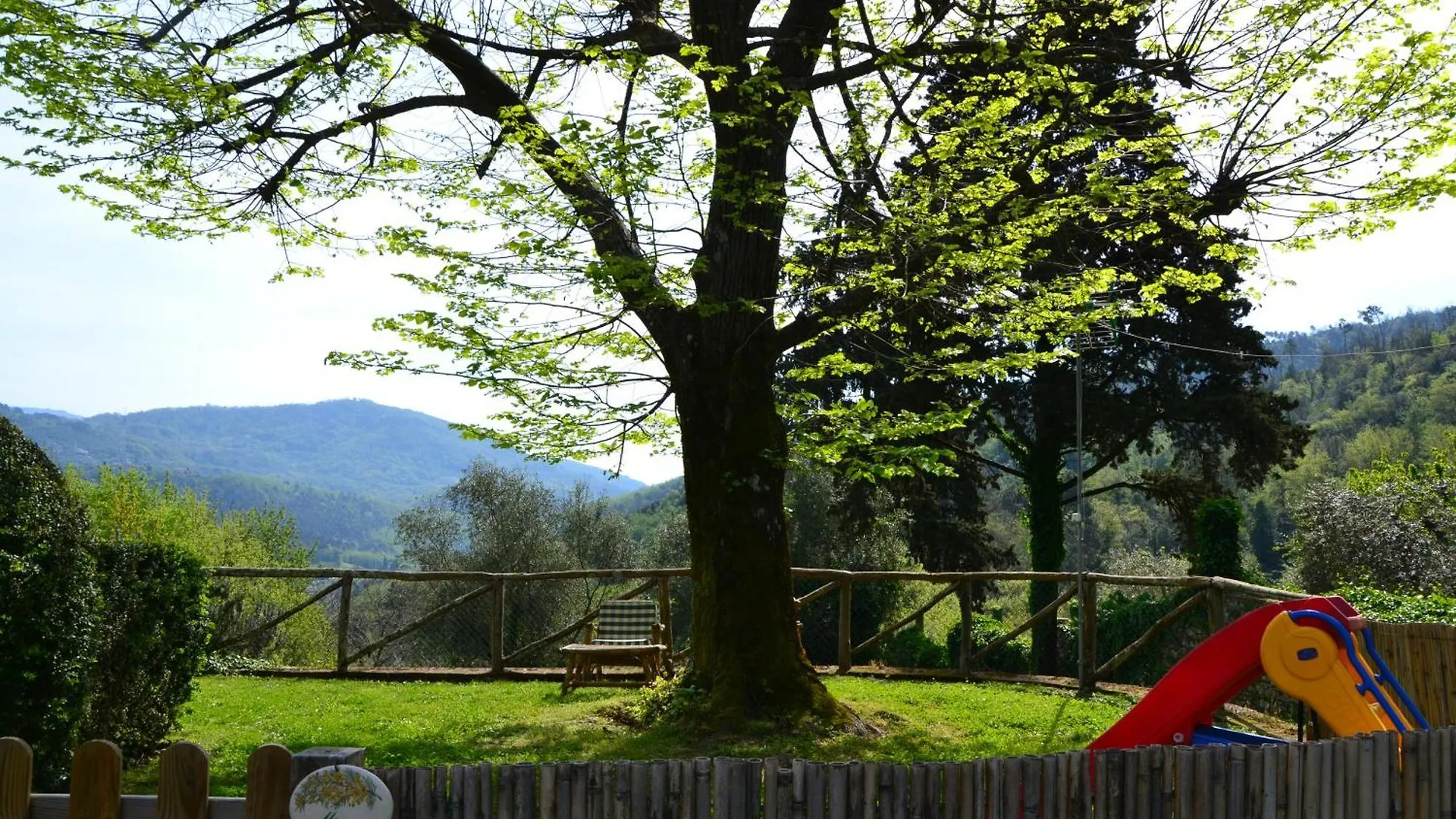 Mimosa E Limoni - Case Vacanze San Martino in Freddana Holiday home